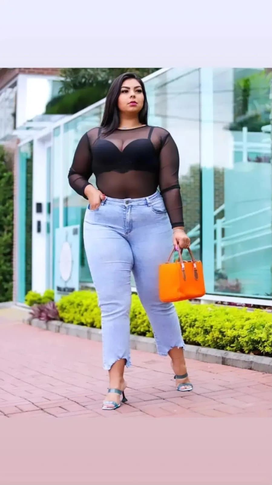 Boddy tule plus 